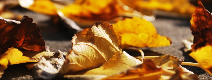 Condus’ Monthly Newsletter 9/2015