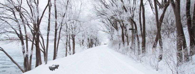 Conduksen kuukausitiedote 1/2016
