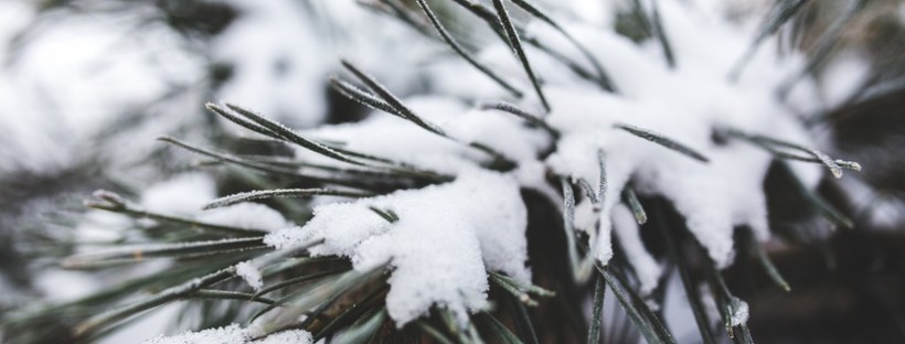 Conduksen kuukausitiedote 12/2015