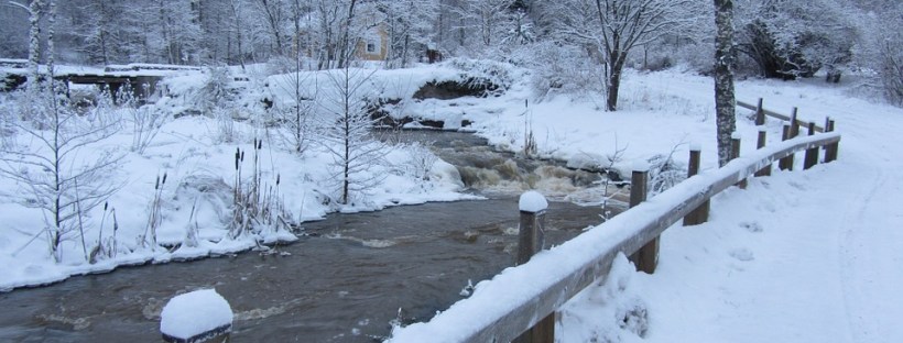 Conduksen kuukausitiedote 2/2016
