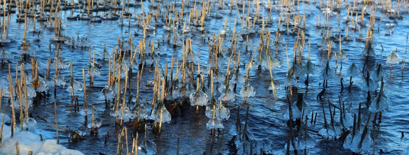 Conduksen kuukausitiedote 3/2016