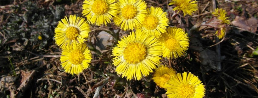 Conduksen kuukausitiedote 4/2016