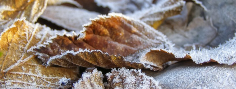 Conduksen kuukausitiedote 11/2016