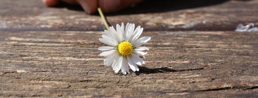 Onneksi olkoon, fuksi&nbsp;2017!